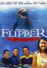 Nouvelles Aventures de Flipper le Dauphin (Les) - D.R